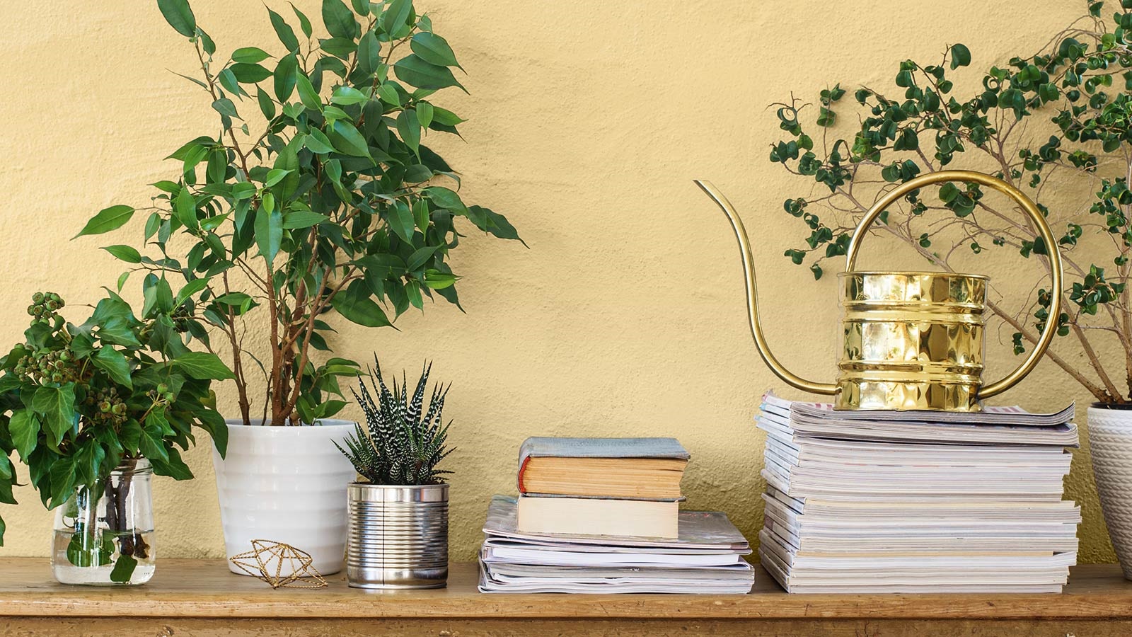 Distant Sunlight" giver boligen et varmt udtryk 